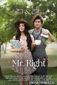 Mr Right (2023) HQ Hindi Dubbed Movie