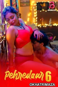 Pehredaar (2024) S06 Part 1 Bigplay Hindi Hot Web Series