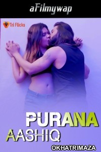 Purana Aashiq (2024) Triflicks Hindi Hot Short Film