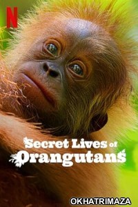 Secret Lives of Orangutans (2024) ORG Hollywood Hindi Dubbed Movie